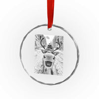 Funny Reindeer Selfie Crystal Glass Ornament TS10