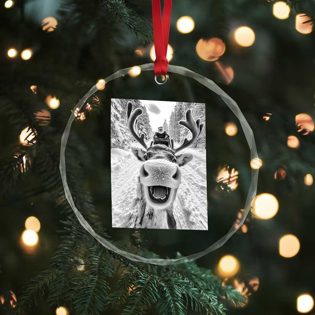 Funny Reindeer Selfie Crystal Glass Ornament TS10