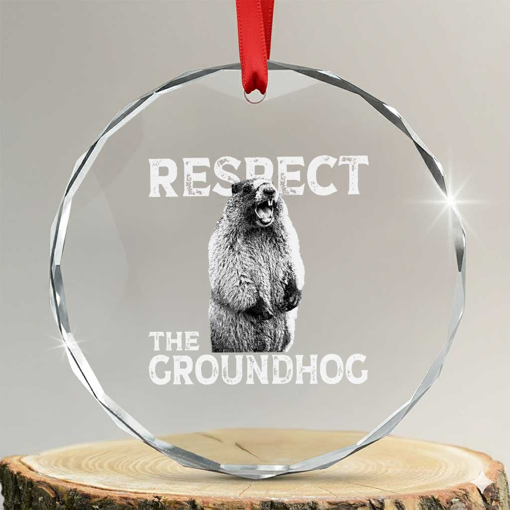 Funny Respect The Groundhog Crystal Glass Ornament Screaming Woodchuck Meme Groundhog Day - Wonder Print Shop
