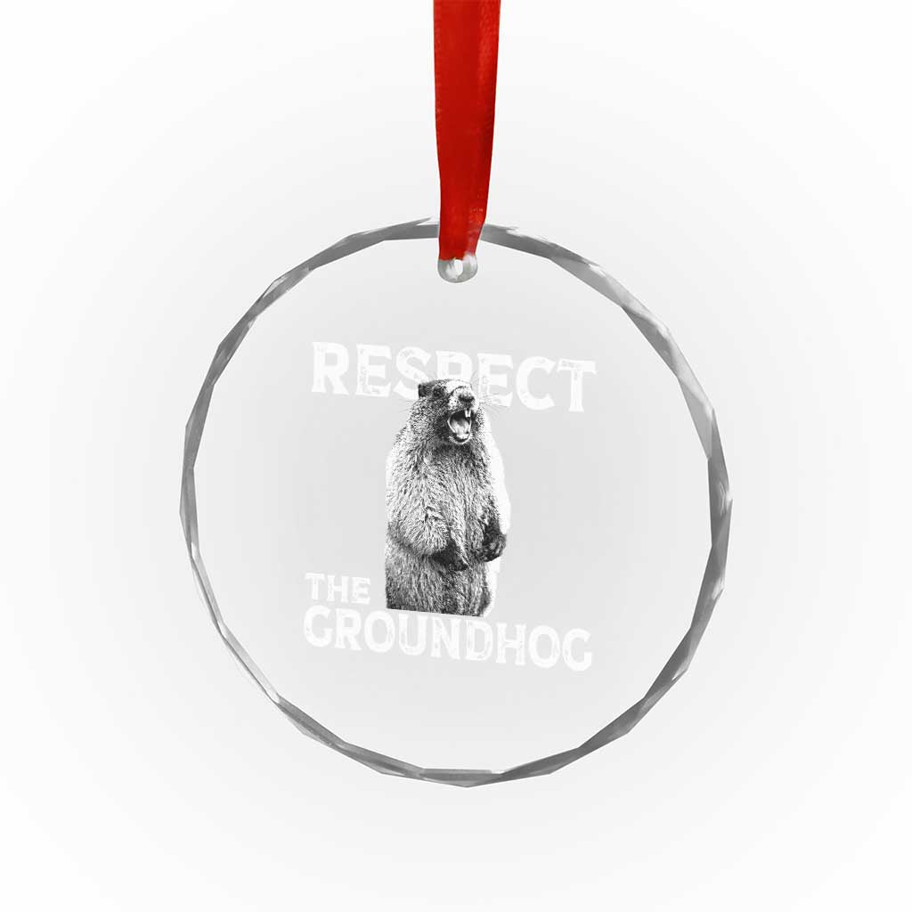 Funny Respect The Groundhog Crystal Glass Ornament Screaming Woodchuck Meme Groundhog Day - Wonder Print Shop