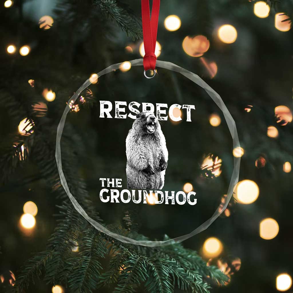 Funny Respect The Groundhog Crystal Glass Ornament Screaming Woodchuck Meme Groundhog Day - Wonder Print Shop