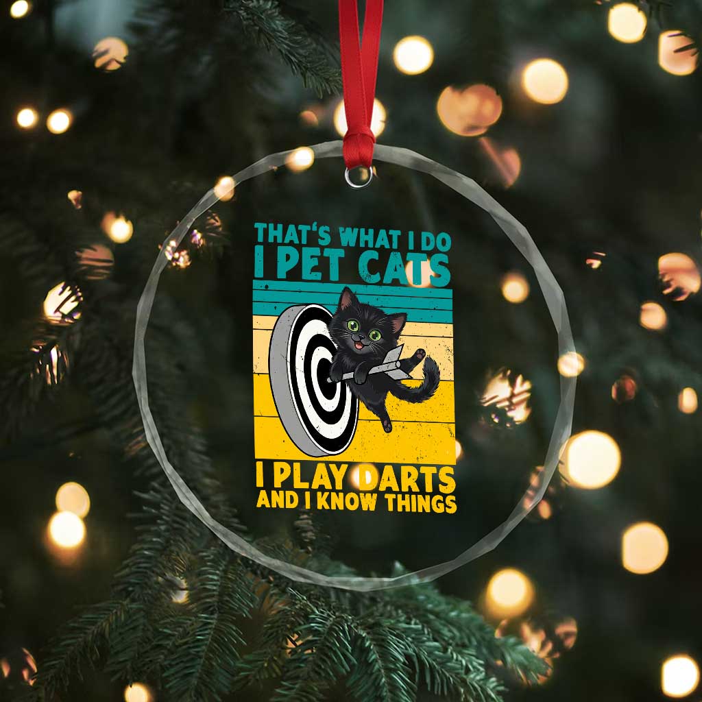 Funny Retro Sunset Cat Darts Crystal Glass Ornament I Pet Cats I Play Darts And I Know Things - Wonder Print Shop