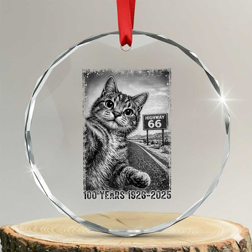 Funny Road Trip Cat Selfie with Highway 66 Crystal Glass Ornament Centennial 1926-2026 Historic Highway Humor