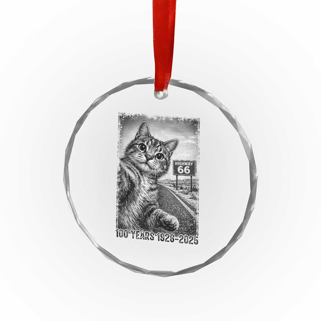 Funny Road Trip Cat Selfie with Highway 66 Crystal Glass Ornament Centennial 1926-2026 Historic Highway Humor