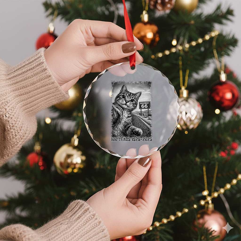 Funny Road Trip Cat Selfie with Highway 66 Crystal Glass Ornament Centennial 1926-2026 Historic Highway Humor