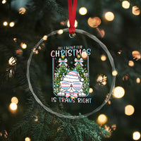 Funny Santa Cat Trans Pride Crystal Glass Ornament All I Want For Christmas Is Trans Rights - Wonder Print Shop