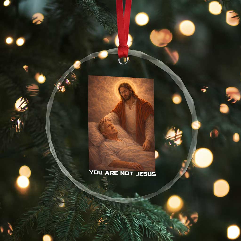 Funny Sarcastic Political Satire Crystal Glass Ornament You Are Not Jesus