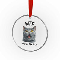 Funny Shocked British Shorthair Cat Crystal Glass Ornament Where Is The Food
