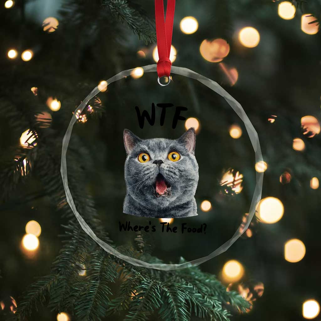 Funny Shocked British Shorthair Cat Crystal Glass Ornament Where Is The Food