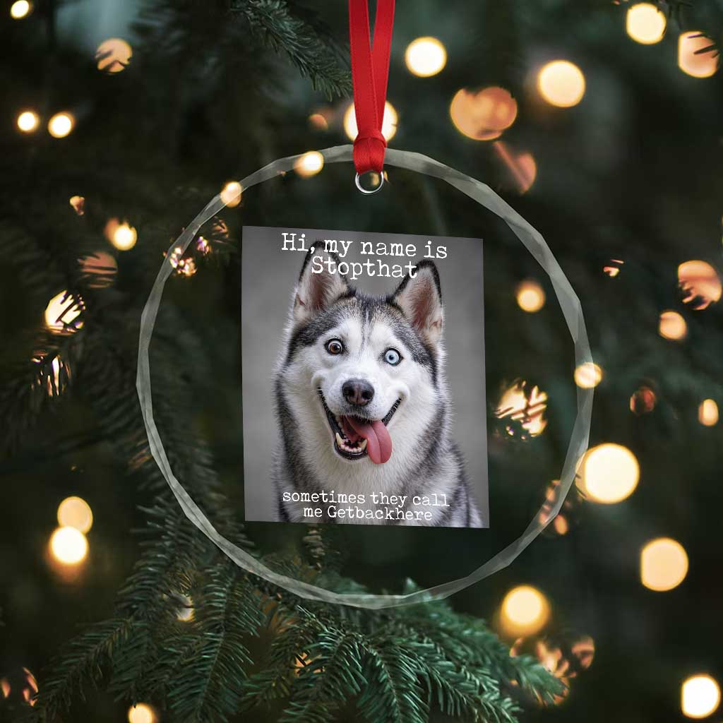 Funny Siberian Husky Meme Crystal Glass Ornament My Name Is Stop That