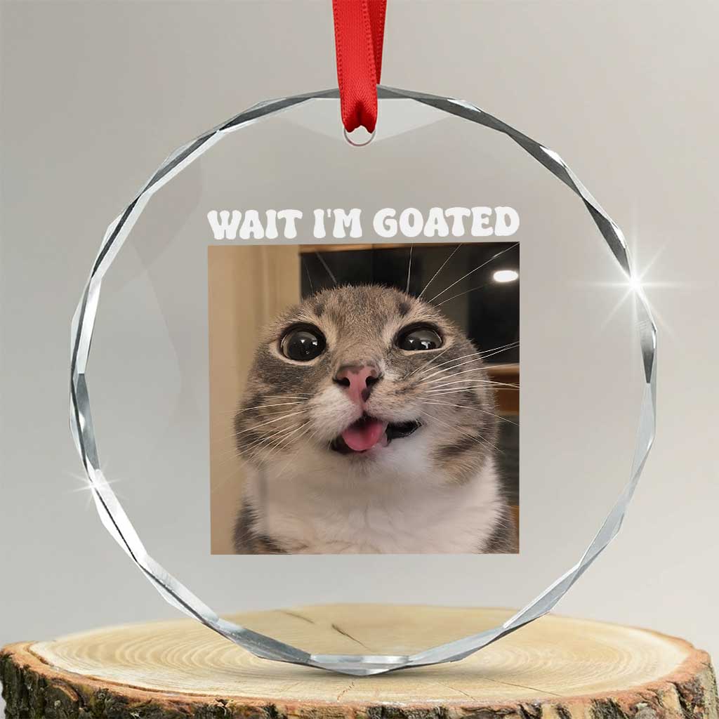 Funny Silly Cat Meme Crystal Glass Ornament Wait Im Goated