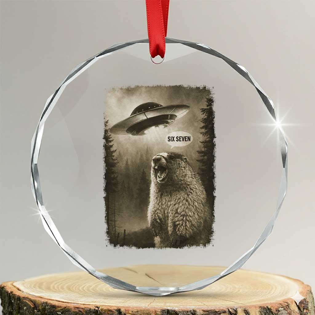 Funny Six Seven Crystal Glass Ornament Screaming Groundhog UFO Meme