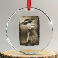 Funny Six Seven Crystal Glass Ornament Screaming Groundhog UFO Meme