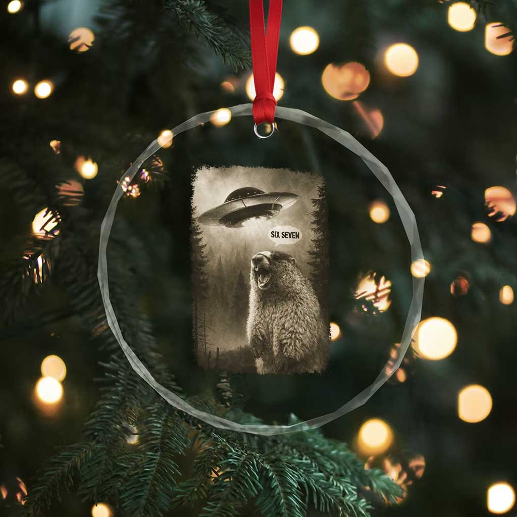 Funny Six Seven Crystal Glass Ornament Screaming Groundhog UFO Meme