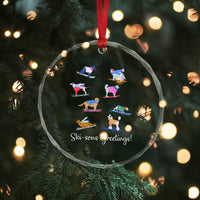 Funny Skiing Dog Crystal Glass Ornament Ski Sons Greetings Ski Winter Sport - Wonder Print Shop