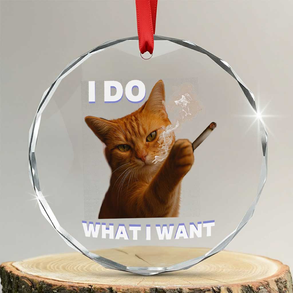 Funny Smoking Cat Crystal Glass Ornament I Do What I Want Sarcastic Cats Meme - Wonder Print Shop