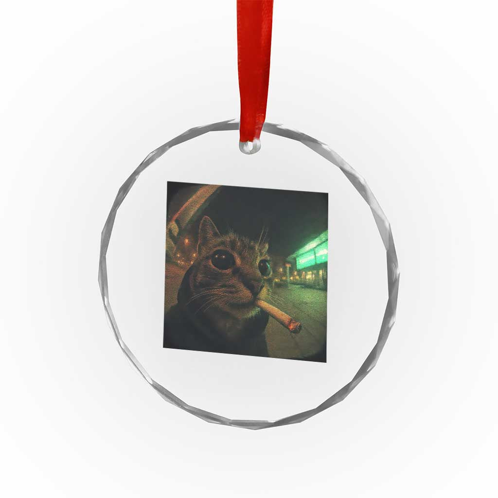 Funny Smoking Cat Crystal Glass Ornament Retro 90s Grunge Cat Selfie Streetwear Meme TS10