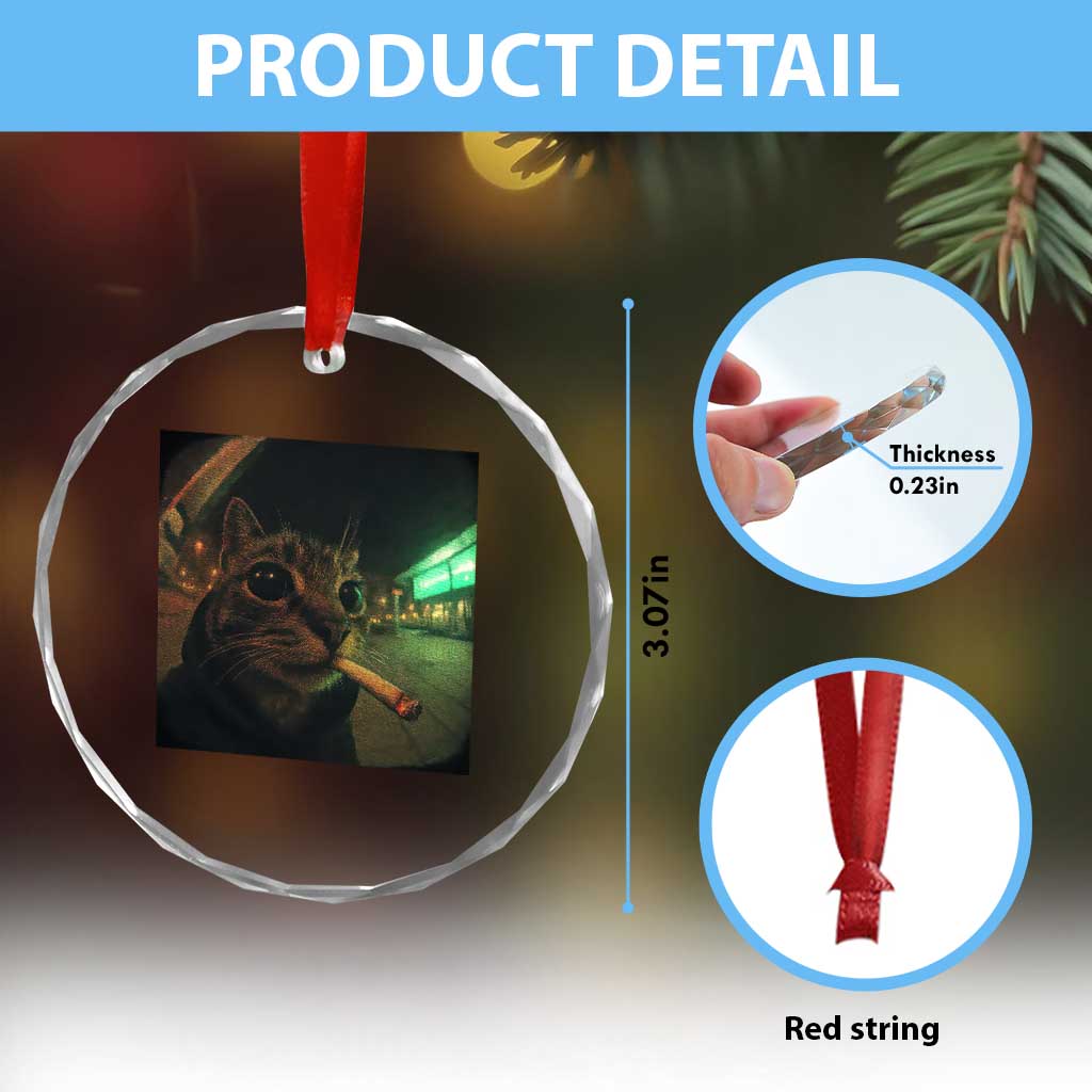 Funny Smoking Cat Crystal Glass Ornament Retro 90s Grunge Cat Selfie Streetwear Meme TS10