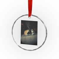 Funny Smoking Cat Crystal Glass Ornament Retro 90s Grunge Kitty Streetwear Meme TS10