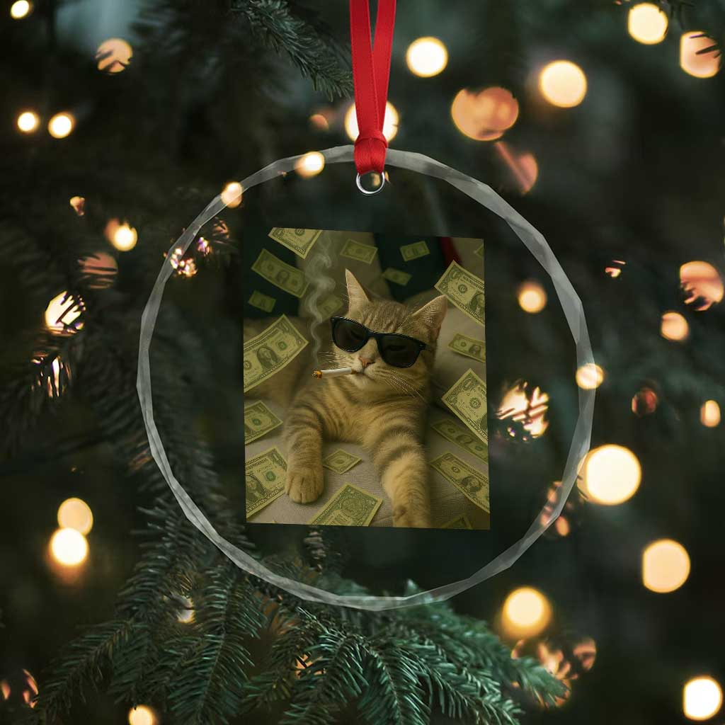 Funny Smoking Cat Selfie Meme Crystal Glass Ornament Gen Z Joke - Wonder Print Shop