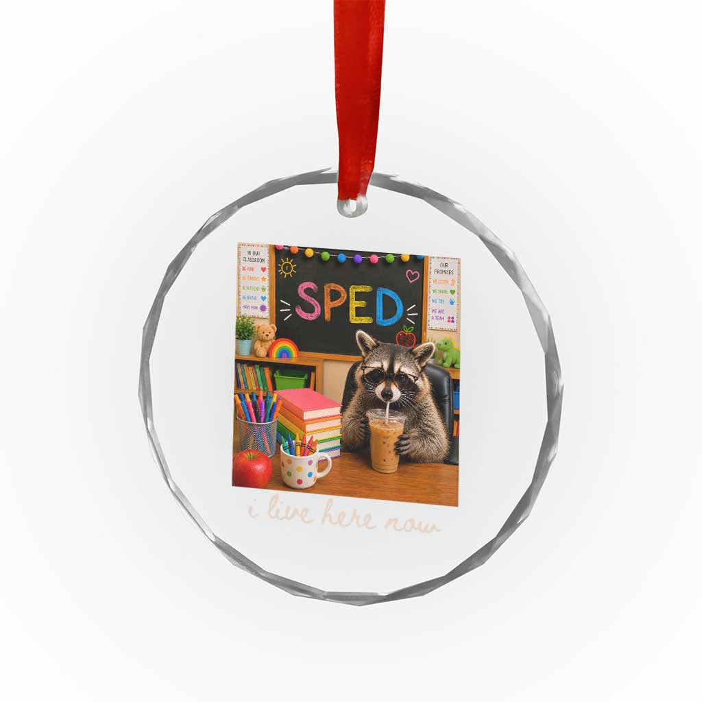 Funny SPED Raccoon Teacher Crystal Glass Ornament I Live Here Now