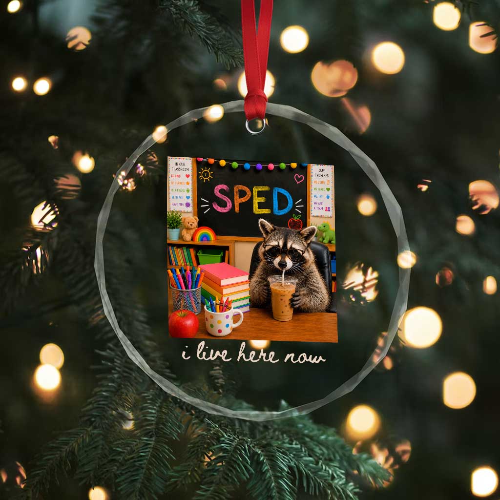 Funny SPED Raccoon Teacher Crystal Glass Ornament I Live Here Now