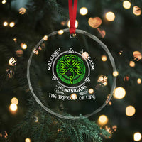 Funny St Patricks Day Irish Pride Crystal Glass Ornament Malarkey Sarcasm Shenanigans The Trifecta Of Life