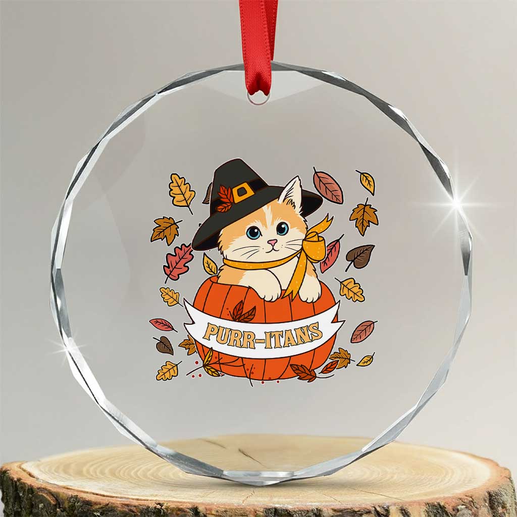 Funny Thanksgiving Cat Lover Crystal Glass Ornament Purritans Pilgrim Puritans Hat - Wonder Print Shop