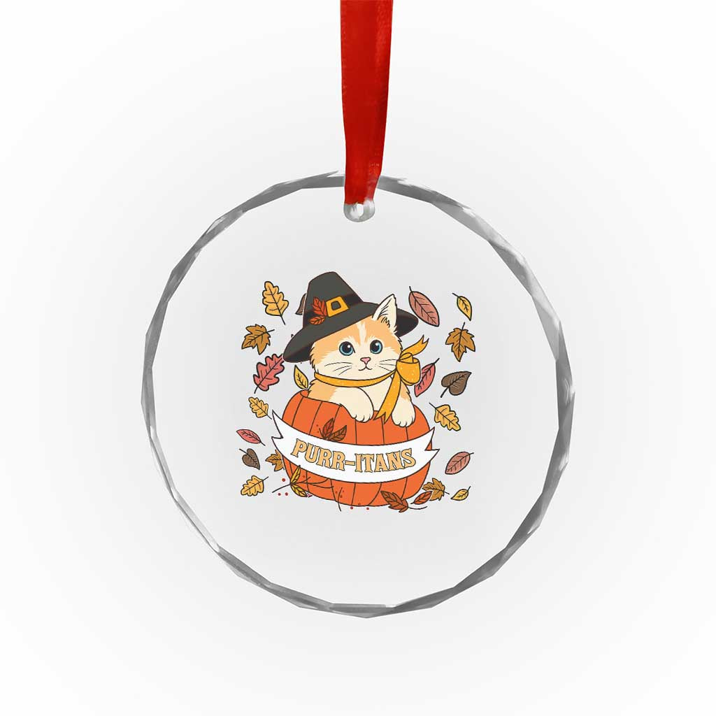Funny Thanksgiving Cat Lover Crystal Glass Ornament Purritans Pilgrim Puritans Hat - Wonder Print Shop