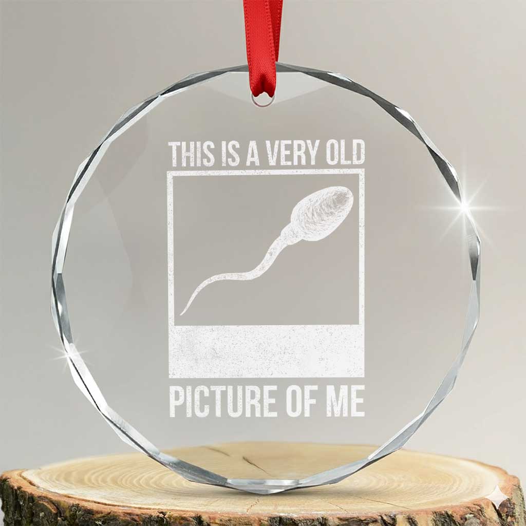 Funny This Is A Very Old Picture Of Me Crystal Glass Ornament Adult Humor Gag Gift - Wonder Print Shop