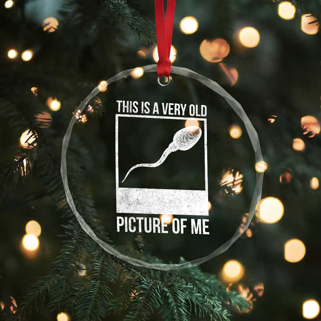 Funny This Is A Very Old Picture Of Me Crystal Glass Ornament Adult Humor Gag Gift - Wonder Print Shop