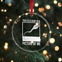 Funny This Is A Very Old Picture Of Me Crystal Glass Ornament Adult Humor Gag Gift - Wonder Print Shop