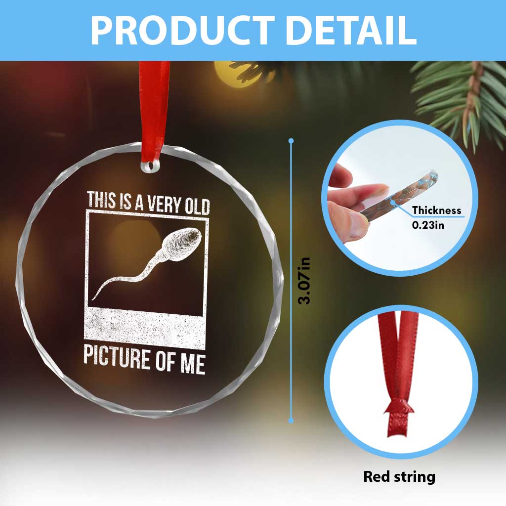 Funny This Is A Very Old Picture Of Me Crystal Glass Ornament Adult Humor Gag Gift - Wonder Print Shop