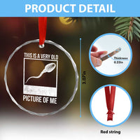 Funny This Is A Very Old Picture Of Me Crystal Glass Ornament Adult Humor Gag Gift - Wonder Print Shop