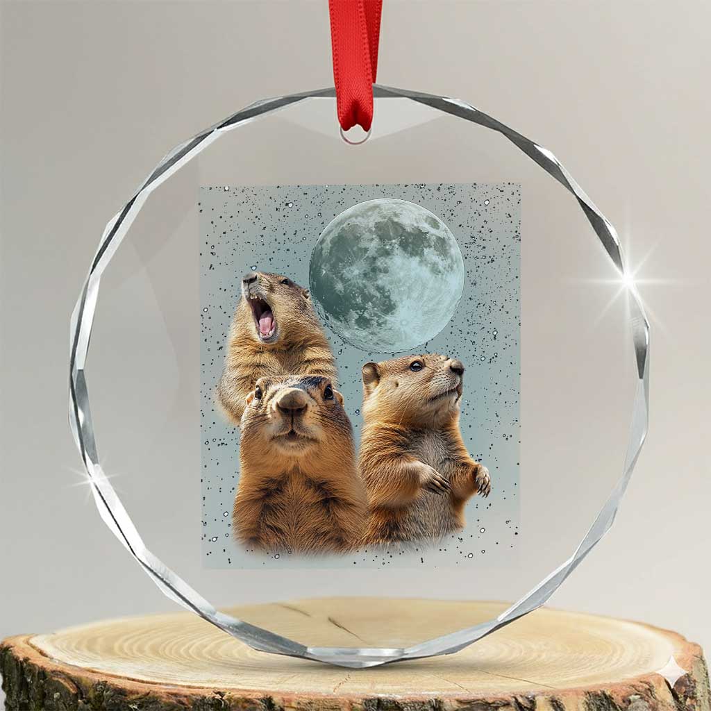 Funny Three Groundhog Meme Crystal Glass Ornament Woodchucks Under The Moon TS02