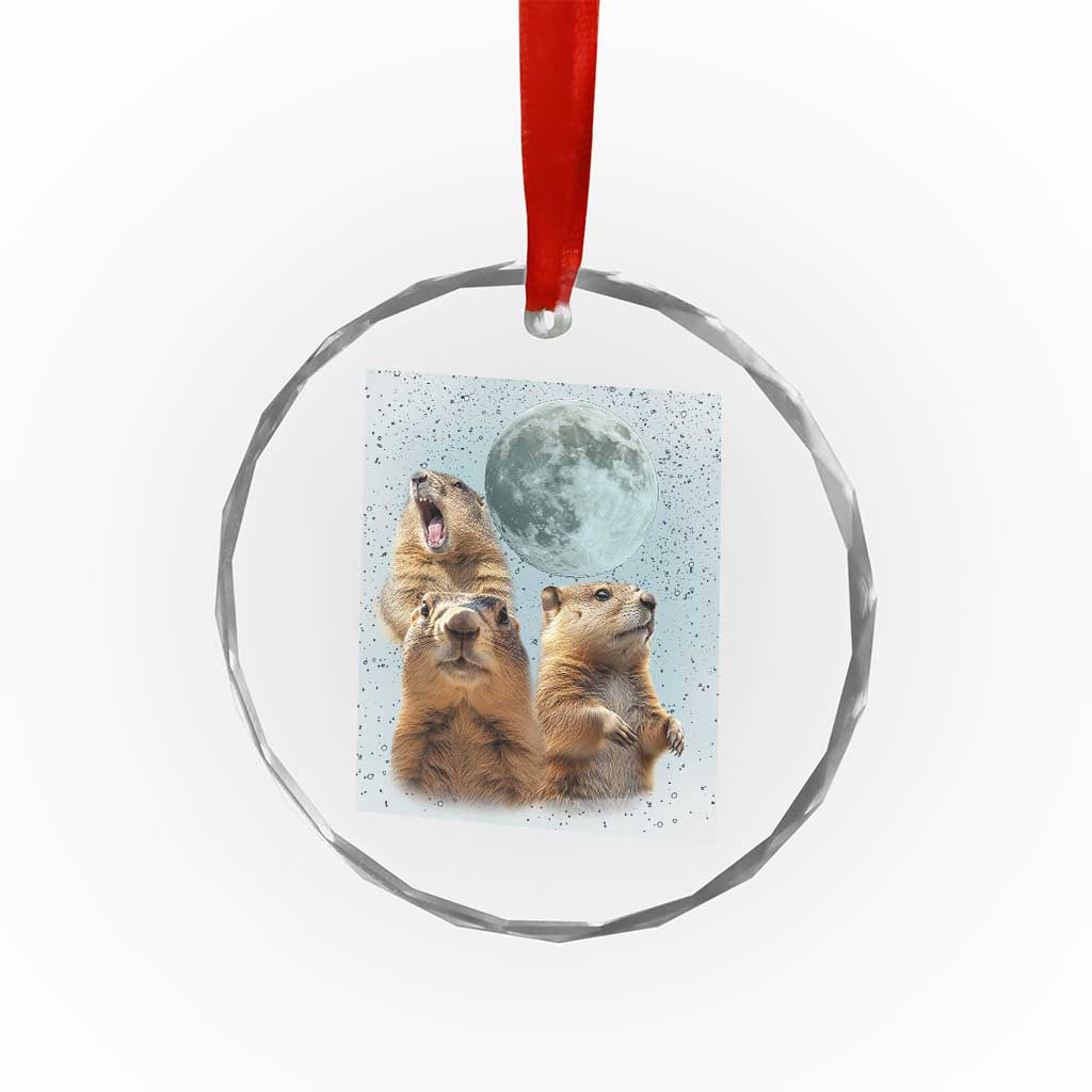 Funny Three Groundhog Meme Crystal Glass Ornament Woodchucks Under The Moon TS02