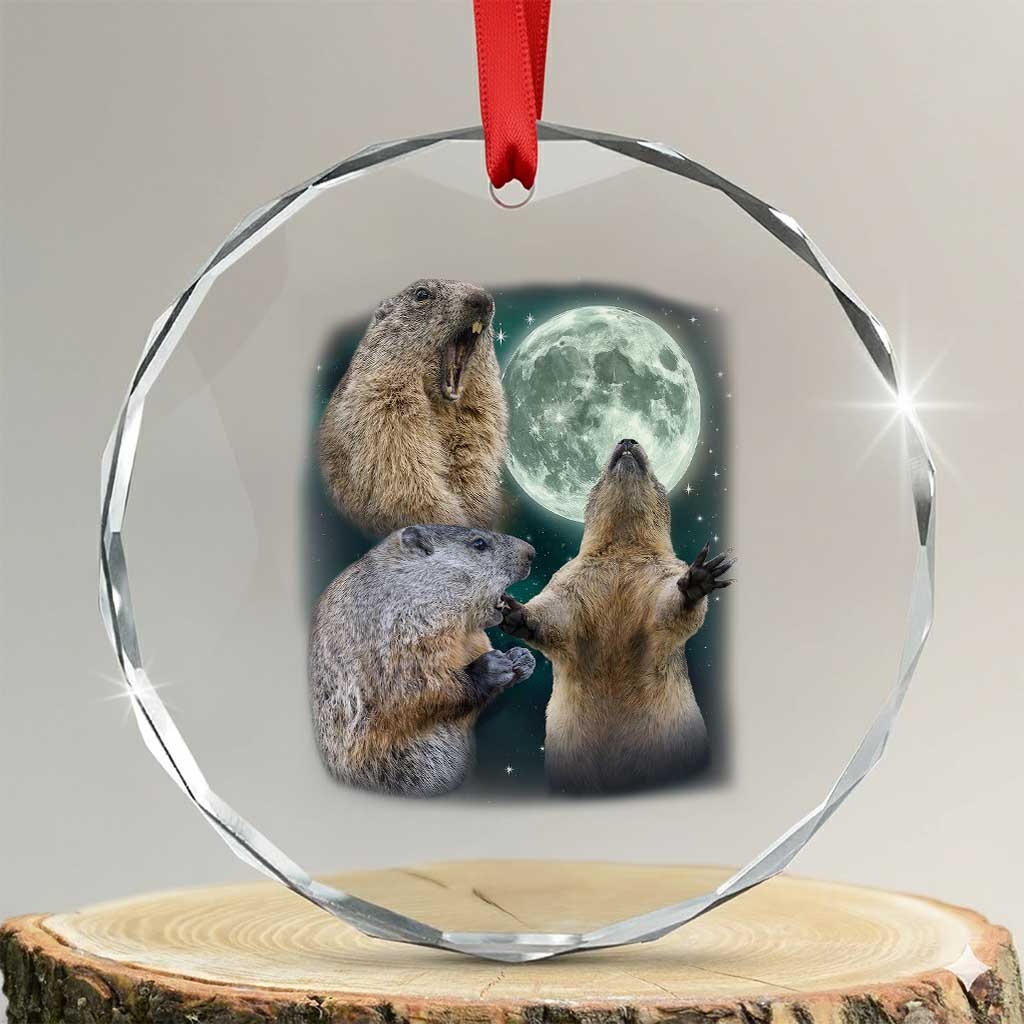 Funny Three Groundhog Moon Groundhog Day Meme Crystal Glass Ornament - Wonder Print Shop