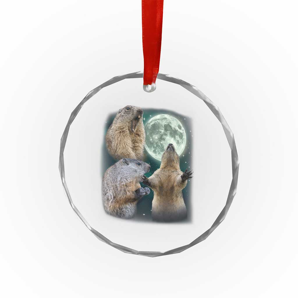 Funny Three Groundhog Moon Groundhog Day Meme Crystal Glass Ornament - Wonder Print Shop