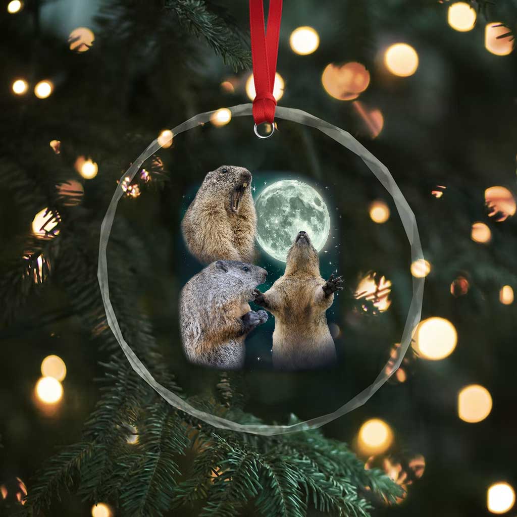 Funny Three Groundhog Moon Groundhog Day Meme Crystal Glass Ornament - Wonder Print Shop