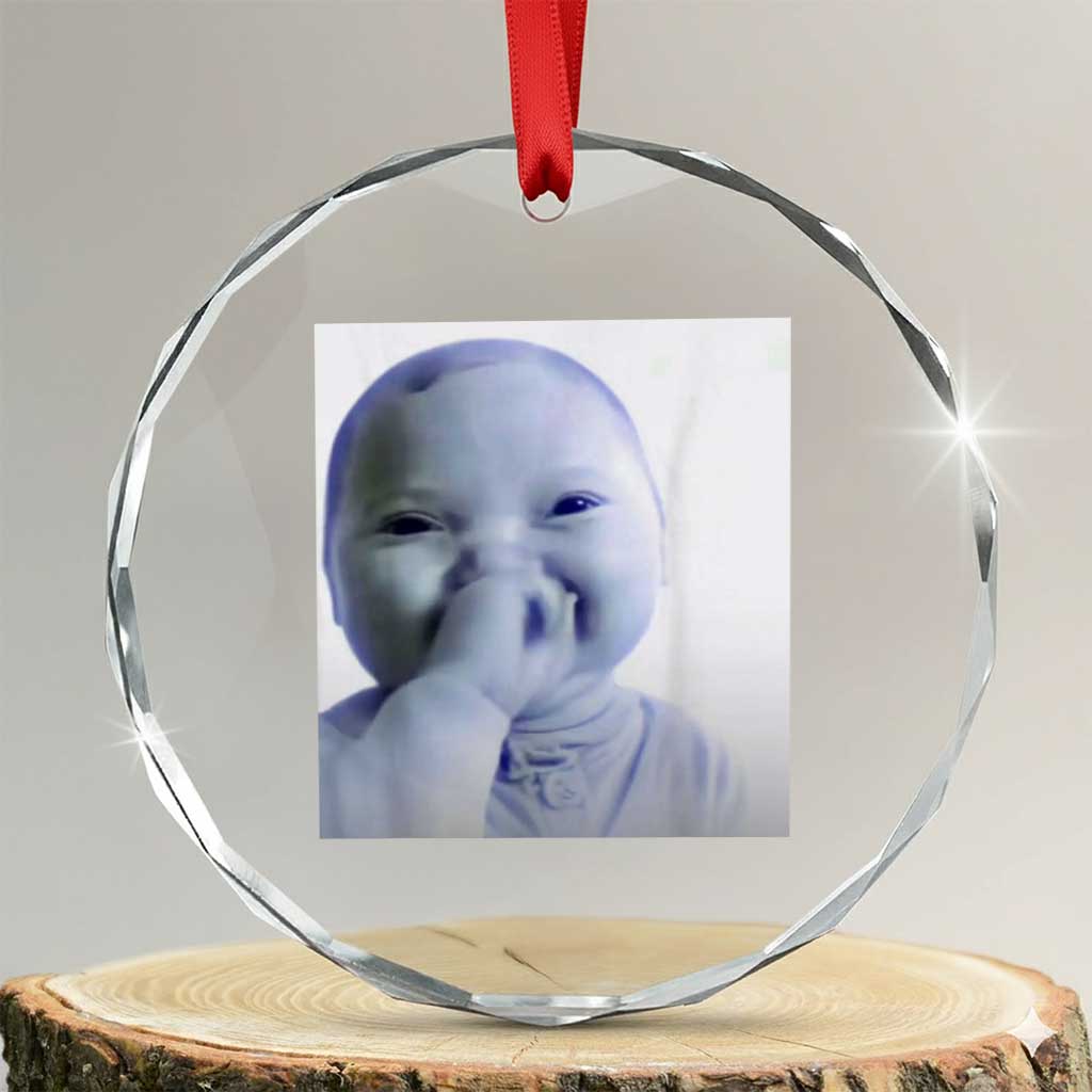 Funny Tuff Baby Giggling Meme Crystal Glass Ornament Viral AI Niche Baby Holding Laugh Photo - Wonder Print Shop