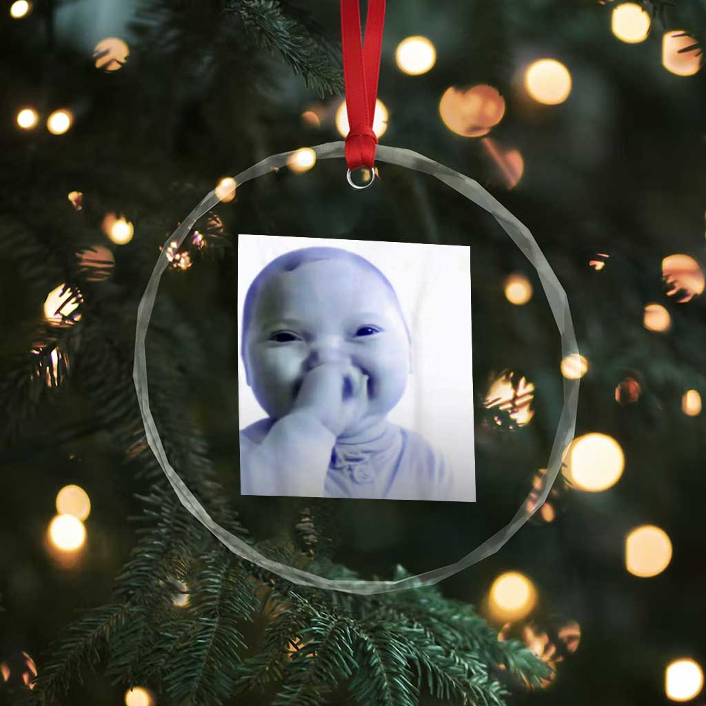Funny Tuff Baby Giggling Meme Crystal Glass Ornament Viral AI Niche Baby Holding Laugh Photo - Wonder Print Shop