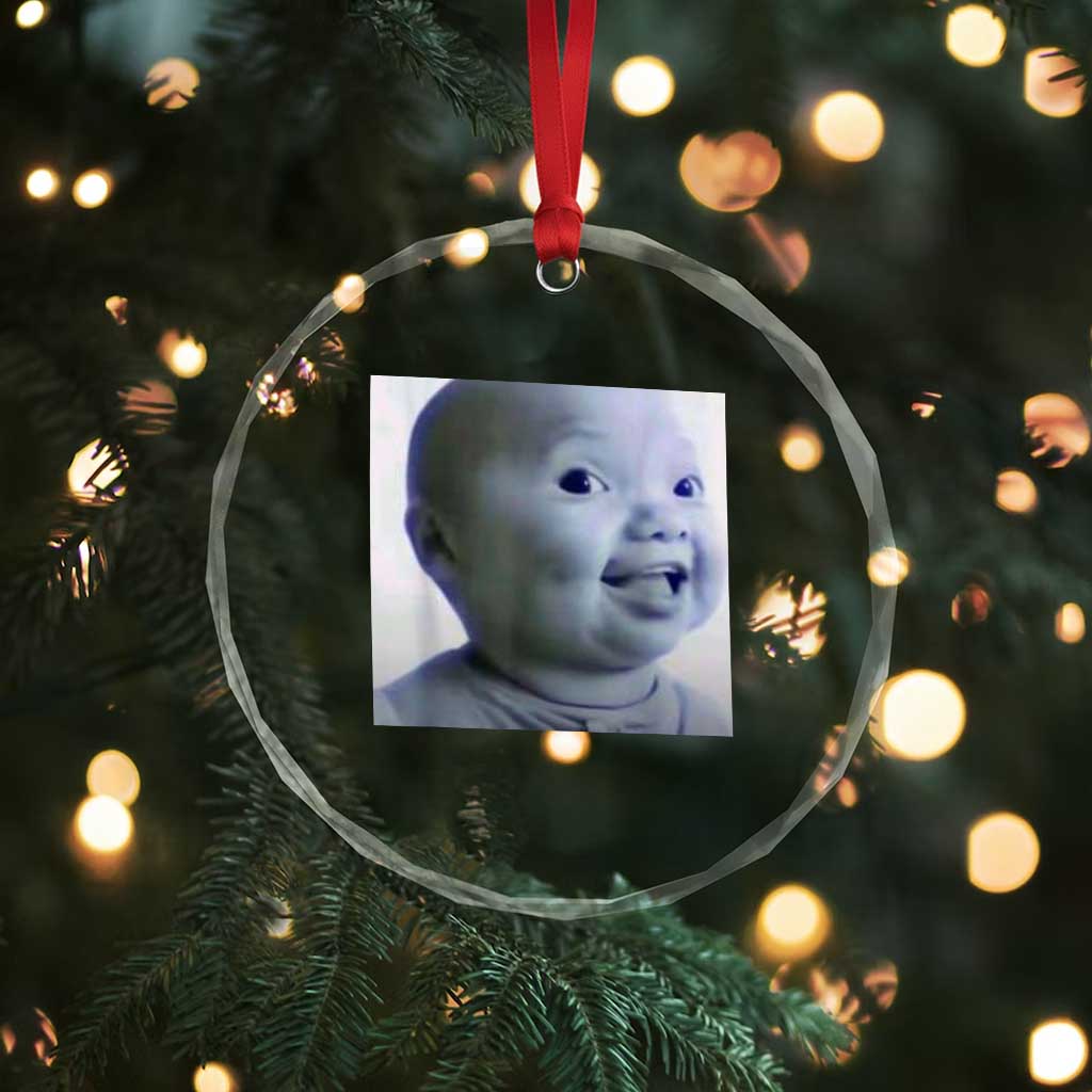 Funny Tuff Baby Side Eye Meme Crystal Glass Ornament Viral AI Niche Baby Face Reaction - Wonder Print Shop