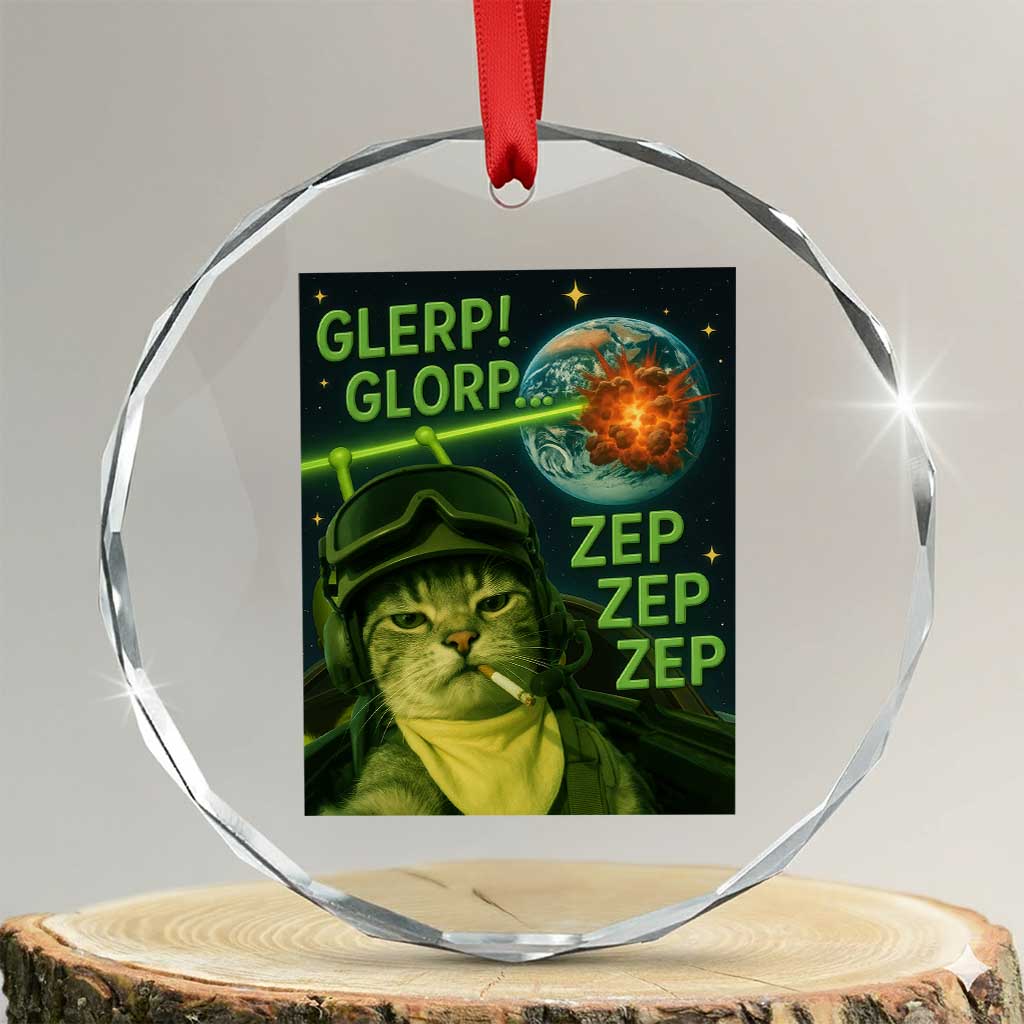 Funny UFO Alien Cat Selfie Crystal Glass Ornament Retro Space Sci-Fi Cat Pilot - Wonder Print Shop