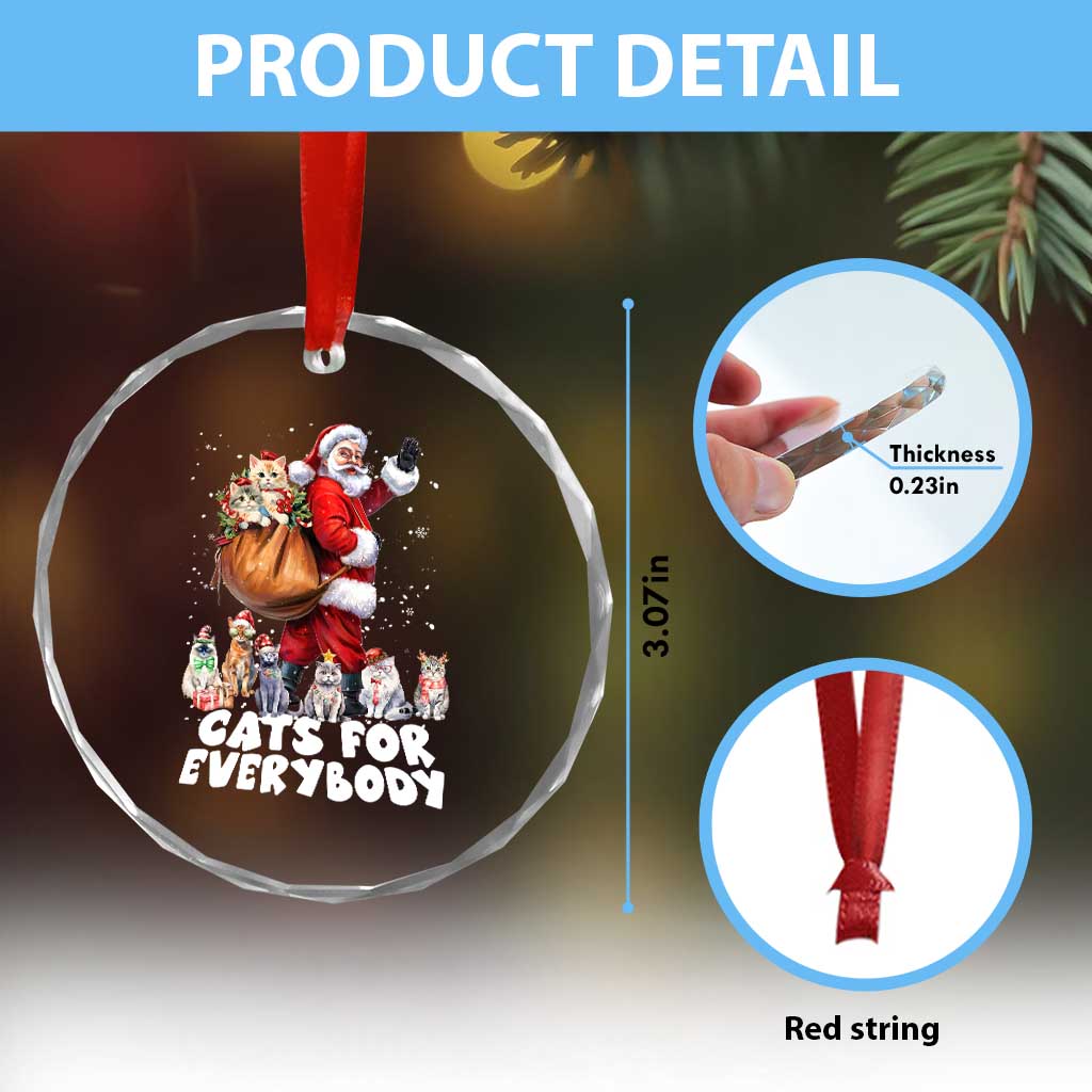 Funny Xmas Cat Crystal Glass Ornament Cats For Everybody Xmas Santa Pet TS11