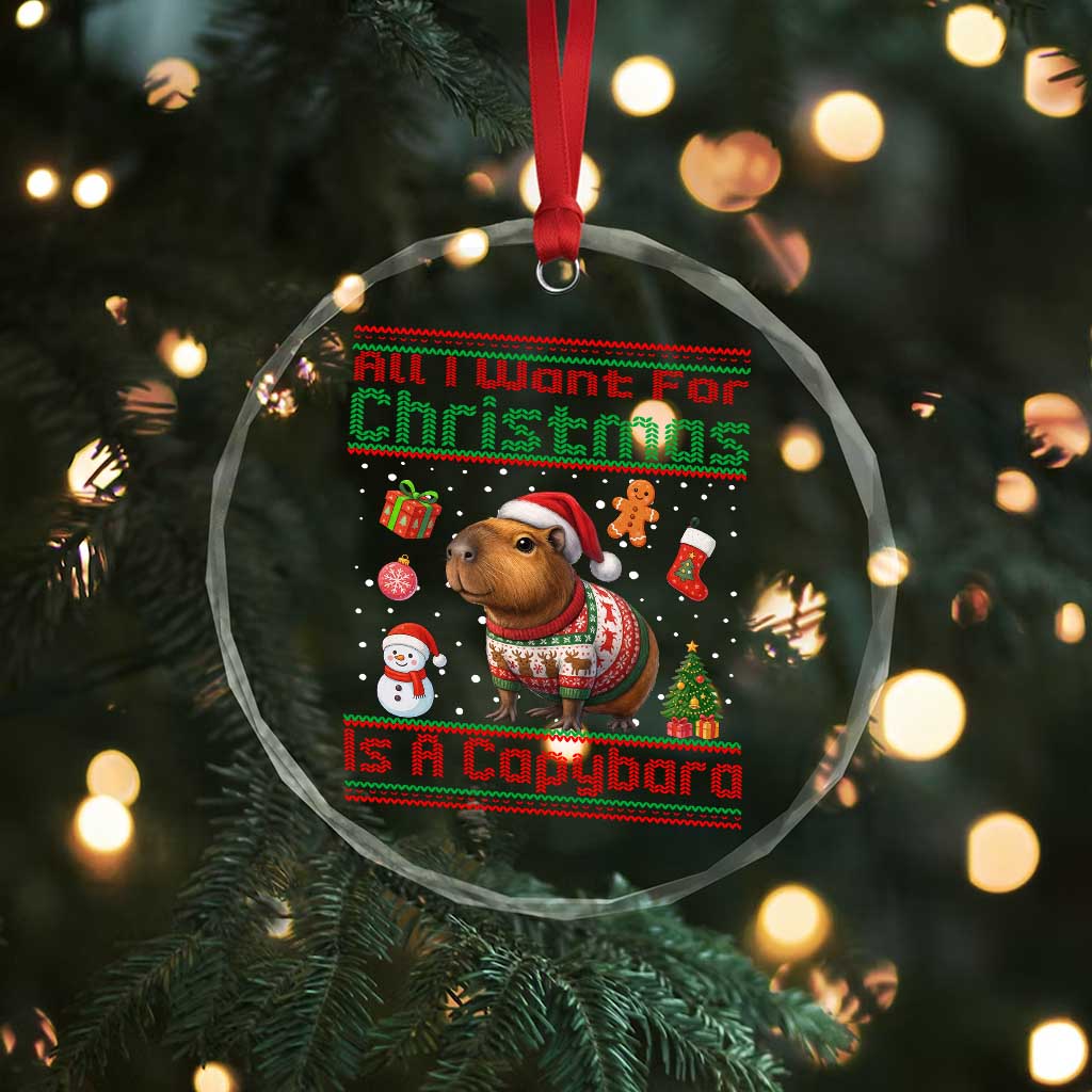 Funny Xmas Crystal Glass Ornament All I Want For Christmas Is A Capybara TS12