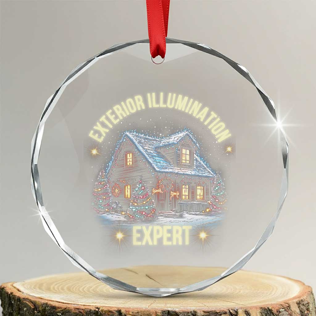 Funny Xmas Crystal Glass Ornament Exterior Illumination Expert Christmas Lights Home TS09