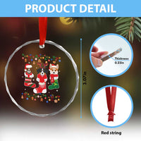 Funny Xmas Dog Owner Crystal Glass Ornament Socks Xmas Holiday TS11