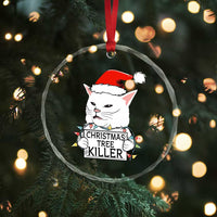 Funny Xmas Grumpy Cat Crystal Glass Ornament Xmas Tree Killer Santa Kitten TS12