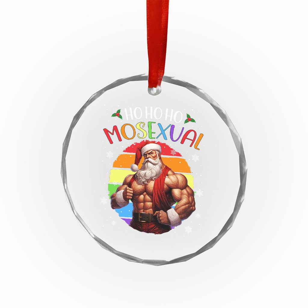 Funny Xmas LGBT Crystal Glass Ornament Ho Ho Ho Mosexual Rainbow Santa TS11