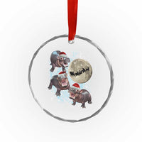Funny Xmas Moo Deng Crystal Glass Ornament Baby Hippo Santa Sleigh Galaxy Outer Space TS09